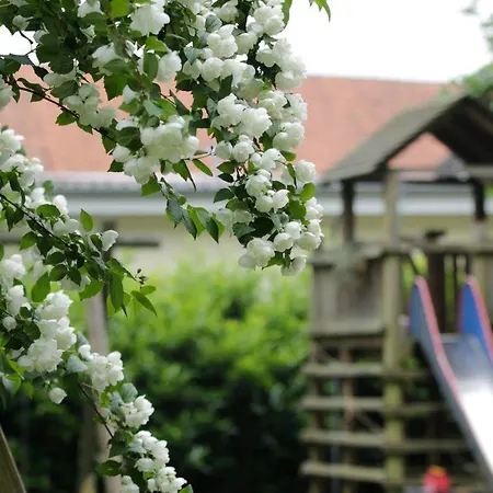 Haasehof ジッテンゼン